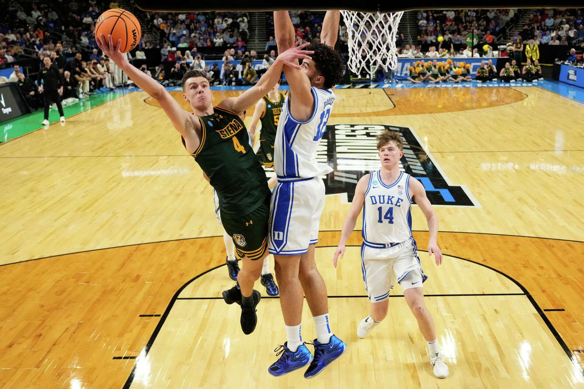 duke-siena duke-siena